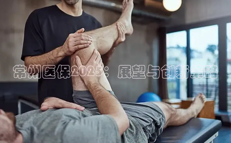 V体育入口官网